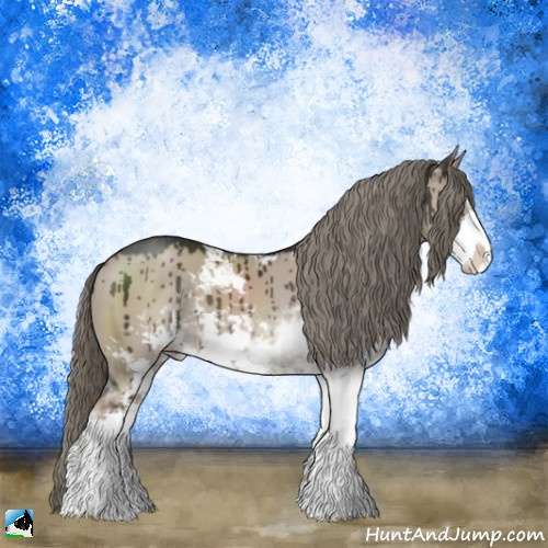 Horse Color:Liver Red Dun Mushroom Sabino Rabicano Brindle 