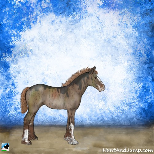Horse Color:Liver Red Dun Sabino Rabicano Brindle 