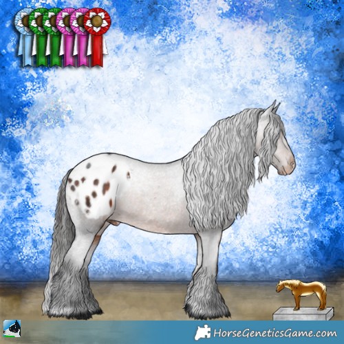 Horse Color:Brown Mushroom Appaloosa 