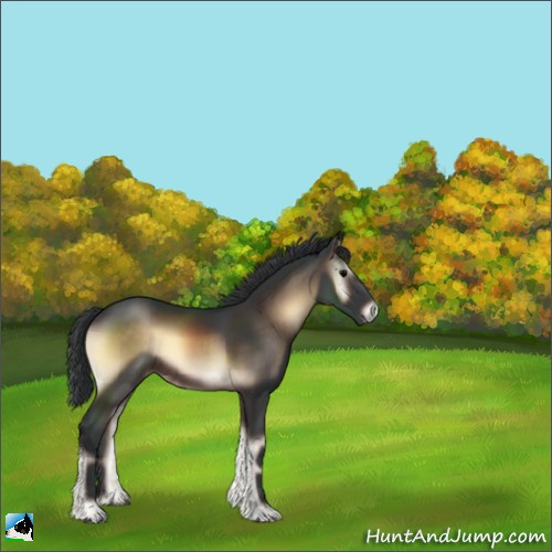 Horse Color:Brown Onyx Rabicano 