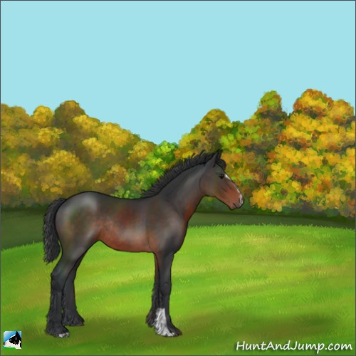 Horse Color:Brown Mushroom Sabino Rabicano 