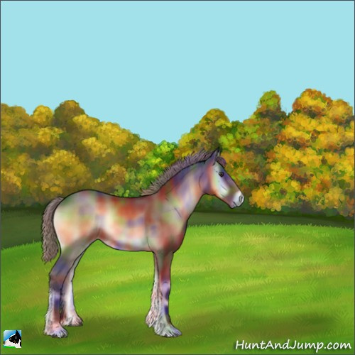 Horse Color:Nacre Liver Red Onyx 