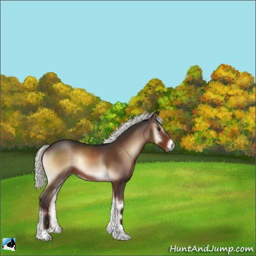 Horse Color:Liver Red Onyx Mushroom 