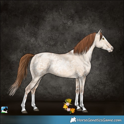 Horse Color:White Spotted Brown Ice Pearl Dun Splash