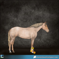 Horse Color:Red Roan Pearl 
