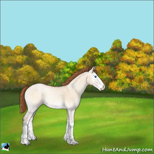 Horse Color:White Spotted Bay Ice Pearl Onyx Splash 