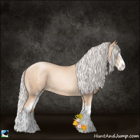 Horse Color:White Spotted Silver Classic Champagne Pearl Splash 