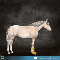 Horse Color:Silver Classic Champagne Ice Pearl Sabino Splash Tobiano 