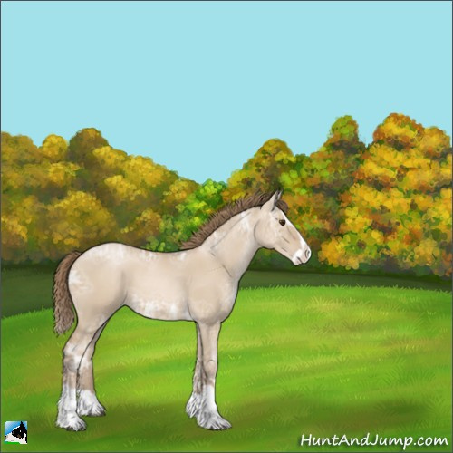 Horse Color:Grullo Ice Pearl Splash 