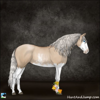 Horse Color:Silver Grullo Pearl Sabino Splash 