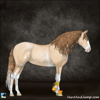 Horse Color:White Spotted Bay Pearl Dun Splash 