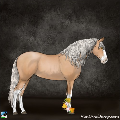 Horse Color:White Spotted Silver Bay Pearl Splash