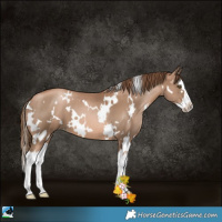 Horse Color:White Spotted Liver Chestnut Pearl Splash 