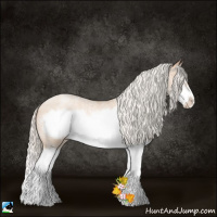 Horse Color:Silver Classic Champagne Ice Roan Pearl Splash Frame 