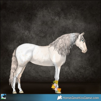 Horse Color:Gold Champagne Pearl Dun Tobiano Appaloosa 