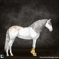 Horse Color:White Spotted Silver Blue Onyx Pearl Splash Frame 