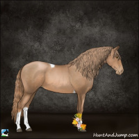 Horse Color:Liver Chestnut Pearl Tobiano 