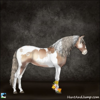 Horse Color:Liver Red Onyx Pearl Tobiano 