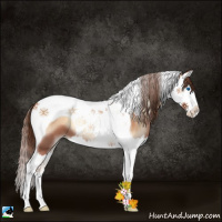 Horse Color:Brown Pearl Onyx Splash Tobiano 