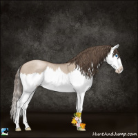 Horse Color:Grullo Roan Pearl Splash 