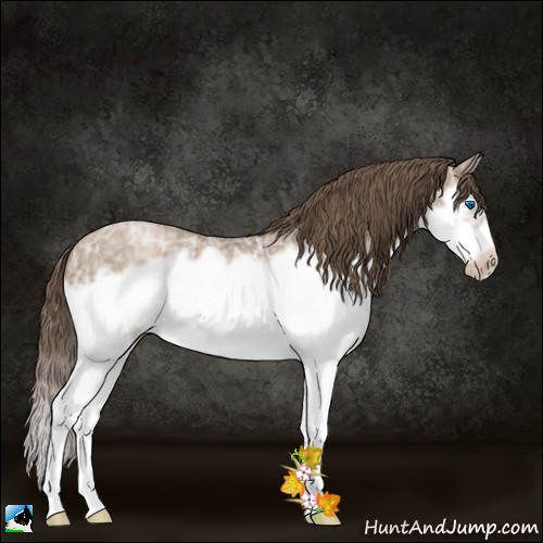 Horse Color:Blue Ice Roan Pearl Splash Frame