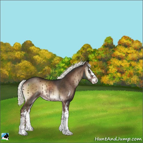 Horse Color:Liver Red Onyx Mushroom Sabino Rabicano 