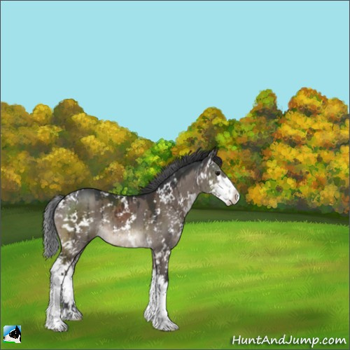 Horse Color:Brown Dun Mushroom Sabino Brindle 