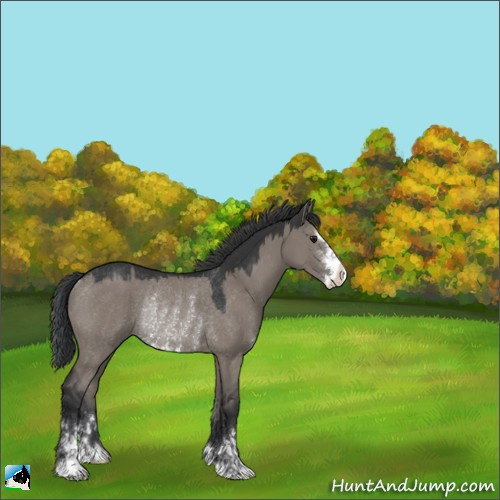 Horse Color:Grullo Mushroom Sabino Rabicano 