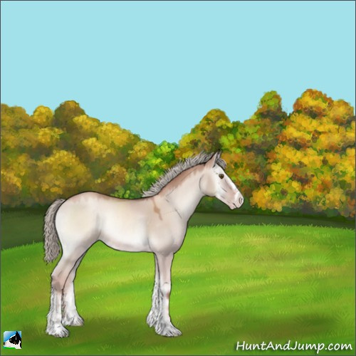 Horse Color:Gold Champagne Onyx Mushroom Sabino Rabicano 