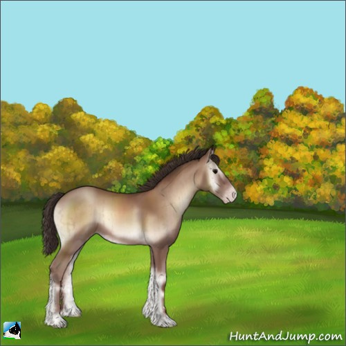 Horse Color:Classic Champagne Onyx Sabino Brindle 