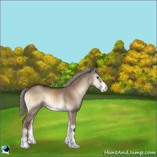 Horse Color:Liver Red Dun Onyx Mushroom Sabino Brindle 
