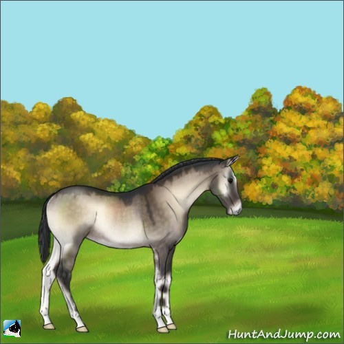 Horse Color:Brown Onyx Mushroom Sabino Rabicano 