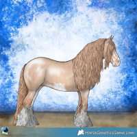 Horse Color:Gold Champagne Dun Sabino Splash Rabicano Brindle 
