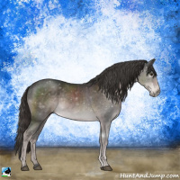Horse Color:Platinum Liver Chestnut Rabicano