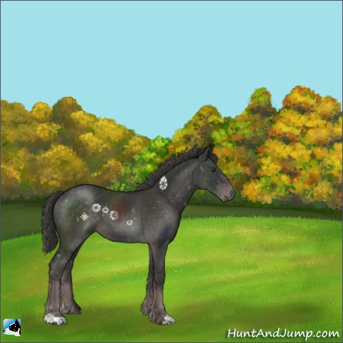 Horse Color:Platinum Liver Chestnut 