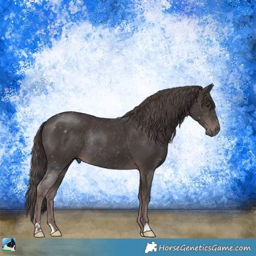 Horse Color:Platinum Liver Chestnut Rabicano 