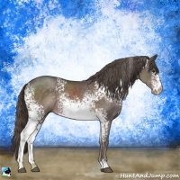 Horse Color:Platinum White Spotted Liver Chestnut Rabicano