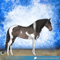 Horse Color:Platinum Liver Chestnut Tobiano Rabicano