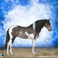 Horse Color:Platinum Liver Chestnut Tobiano Rabicano 