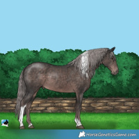 Horse Color:Platinum Liver Chestnut Tobiano 