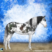 Horse Color:Platinum White Spotted Brown Splash 