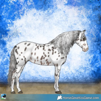 Horse Color:Platinum Liver Chestnut Leopard Rabicano 