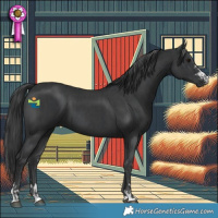 Horse Color:Black and Black