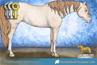 Horse Color:Gold Champagne Pearl Dun Rabicano  and Gold Champagne Pearl Dun Rabicano 