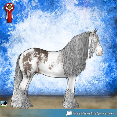 Horse Color:White Spotted Brown Dun 