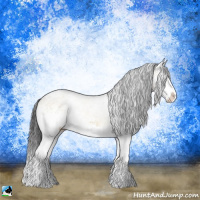 Horse Color:White Spotted Buckskin Ice Onyx Splash Rabicano 