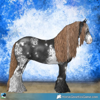Horse Color:White Spotted Liver Chestnut Rabicano 