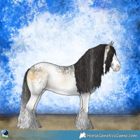 Horse Color:White Spotted Buckskin Ice Onyx Sabino Rabicano 