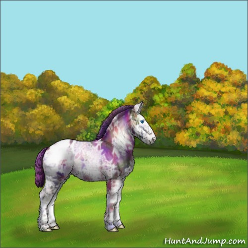 Horse Color:Nacre Liver Red Onyx Ice Splash Appaloosa 