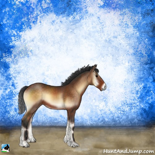 Horse Color:Brown Onyx 